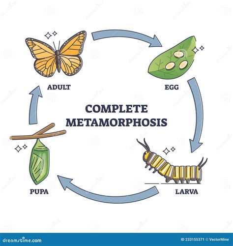 [ShindoL] Metamorphosis (Complete) [English] .
